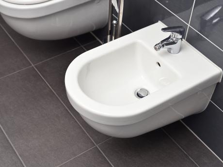 So wählen Sie ein Bidet aus